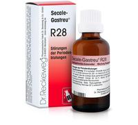 Dr.reckeweg & Co. Gmbh Reckeweg R28 Gocce 22ml