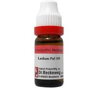 Dr.Reckeweg Ledum Pal Diluzione 30 Ch (11ml) Buy 2 Get 1 Gratis Goccia - Nave