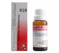 Dr. Reckeweg R28 Esaurimento dovuto alla perdita di sangue Made in Germany OT...