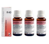 Dr Reckeweg R40 gocce (22 ml) gocce omeopatiche Made in Germany OTC