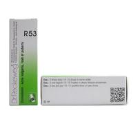 Dr Reckeweg R53 Acne Vulgaris, Pimple Drop 22 ml Made in Germany OTC Homeopathic