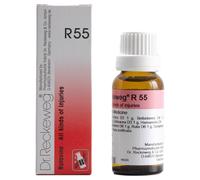 Dr. Reckeweg R55 tutti i tipi di lesioni cadono made in Germany SPEDIZIONE VE...