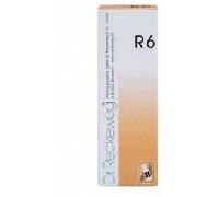 Dr. Reckeweg R6 Gocce Omeopatiche 22 ml