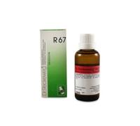 R67 Reckeweg Gocce 22 ml