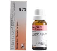 Dr. Reckeweg R73 Joint-Pain Drops 22 ML