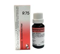 Dr.Reckeweg R75 Dysmenorrhoea Goccia (22ml) Omeopatico Goccia Buy 2 Get 1 Gratis