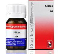 Dr. Reckeweg Silicea 6X (20G) Pure Ayurvedica
