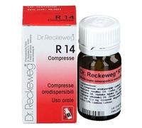 Dr. Rekeweg R14 Omeopatico 100 Compresse