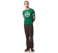 Dr Sheldon Cooper Il Big Bang Theory Mini Cutout In Cartone / Standup