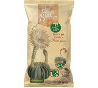 DR. SOIL Terriccio per Cactus e Piante Grasse 1 litro - Per uno sviluppo armonioso