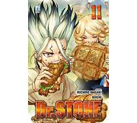 Dr. Stone (Vol. 11)
