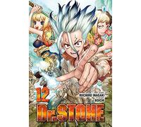 Dr. Stone (Vol. 12)