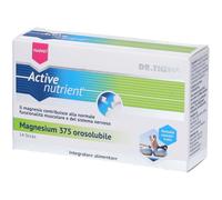 Dr Theiss Active Nuctrient Magnesium Stick 5x28 g Granuli