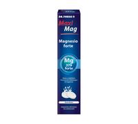 DR THEISS MAXI MAG FORTE 20CPR