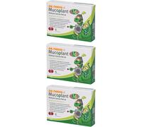 Dr Theiss Mucoplant Immun Lecca-lecca 3x60 g
