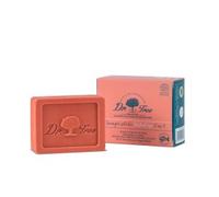 Dr. Tree Fortaleza Shampoo Solid 2 In 1/ 75G
