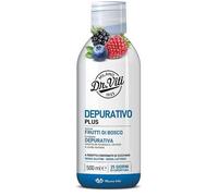 DR VITI DEPURATIVO FRUT 500ML