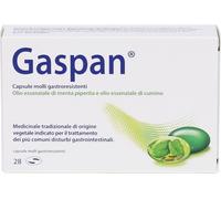 dr.willmar schwabe Gaspan Trattamento Disturbi Intestinali 28 Capsule Molli