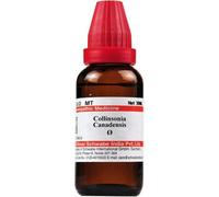 Dr Willmar Schwabe India Collinsonia Canadensis Mother Tintura Q - 30ml