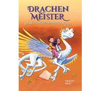 Drachenmeister Band 2 - Die Rettung des Sonnendrachen