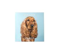 DRAEGER PARIS 1886 - Grande calendario da parete 28 x 29 cm 2026 - tema cani - 12 mesi - Carta FSC - Illustrazioni staccabili