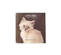 DRAEGER PARIS 1886 - Grande calendario da parete 28 x 29 cm 2026 - tema gatti - 12 mesi - carta FSC - illustrazioni staccabili