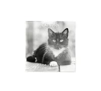 DRAEGER PARIS 1886 - Grande calendario da parete 28 x 29 cm 2026 - Tema gatti in bianco e nero - 12 mesi - Carta FSC - Illustrazioni staccabili
