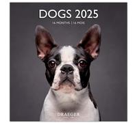 DRAEGER PARIS 1886 - Grande calendario da parete 29x29 cm 2025-7 lingue - settembre 2024 a dicembre 2025-12 fotografie disponibili in più temi - Cani - Note date, compleanni
