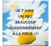 DRAEGER PARIS 1886 - Magnet Magné Je t'aime Un peu beaucoup passionlement - Cadeau Original et Decorative - Dimensions 6,5x6,5cm - Idea Regalo Famiglia Nonna et Friends