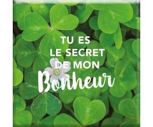 DRAEGER PARIS 1886 - Magnete magnetico Tu sei il segreto della mia felicità - Messaggio d'amore profondo - Decorazione Dimensioni 6,5 x 6,5 cm - Regali Occasioni