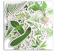 DRAEGER PARIS 1886 Oh My Green Set di 20 Forme truciolate, Cartone, Verde, 7 x 7 x 0,3 cm