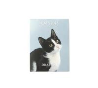DRAEGER PARIS 1886 - Piccolo calendario da parete 13 x 18 cm 2026 - tema gatti - 12 mesi - carta FSC - illustrazioni staccabili