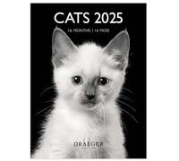 DRAEGER PARIS 1886 - Piccolo Calendario da parete 14x18 cm 2025 - Settembre 2024 a dicembre 2025-7 lingue - Settembre 2024 a dicembre 2025-12 fotografie disponibili - Gatti in bianco e nero