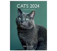 DRAEGER PARIS | Piccolo calendario da parete Cats 2024 da appendere 14 x 18 cm | 16 mesi da sette 23 a dec 24 | 7 lingue | Calendario ufficio, cucina, casa mensile | Carta certificata FSC® |