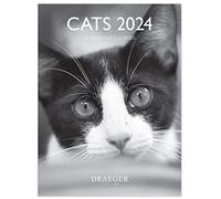 DRAEGER PARIS | Piccolo calendario da parete Gatti in bianco e nero 2024 da appendere 14 x 18 cm | 16 mesi da settembre 23 a dec 24 | 7 lingue | Calendario ufficio, cucina, casa mensile | Carta