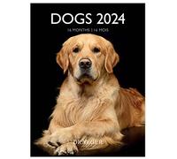 DRAEGER PARIS | Piccolo calendario da parete per cani 2024 da appendere 14 x 18 cm | 16 mesi da settembre 23 a dec 24 | 7 lingue | Calendario ufficio, cucina, casa mensile | Carta certificata FSC® |