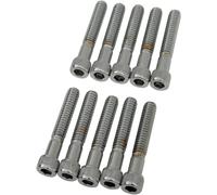 DRAG SPECIALTIES MPB183 1/4-20 X 1/2 SOCKT HEAD VITI TESTA A BRUGOLA