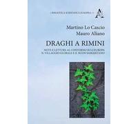 Draghi a Rimini. Note e letture al contorno sull'Europa, il Villaggio Globale e il buon samaritano