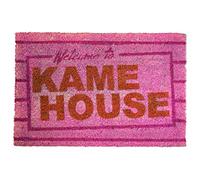 SD Toys Zerbino Dragon Ball Kame House 60x40 cm