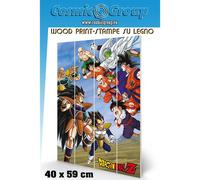 DRAGON BALL BATTLE CLASH WOOD PRINT STAMPA SU LEGNO PYRAMID INTERNATIONAL