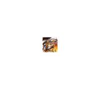 Dragon Ball FighterZ - GIOCO XBOX ONE