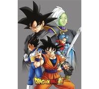 DRAGON BALL Plaid Polaire DBZ-Tous les personnages-Gray, One Size