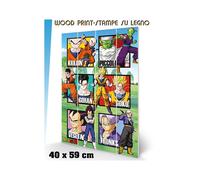 DRAGON BALL WARRIOR SQUARES WOOD PRINT STAMPA SU LEGNO PYRAMID INTERNATIONAL