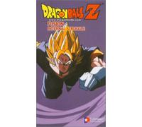 Dragon Ball Z: Fusion - Internal