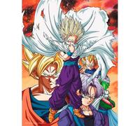 Dragon Ball Z Heroes vs Cell glass poster