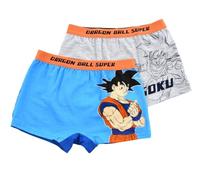 Dragon Ball Z, Set di 2 boxer da ragazzo, blu, 4-5 Anni