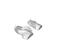 Dragon Head Sculpture - 3D Printed Fantasy Decor for Home Interior