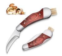 Dragon Purple Coltello Portatile per Funghi con Spazzola Coltello Pieghevole per Esterni