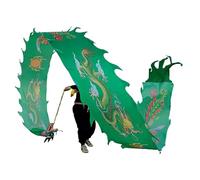 Dragone da danza per esercizi all'aperto, Streamer in stoffa Dragon Dance verde 20 piedi