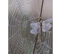 Dragonfly Dreamweaver Notebook: College Ruled | 120 Pages | 7.5 X 9.25 | Nature Design Notebook for Writing, School & Reflection